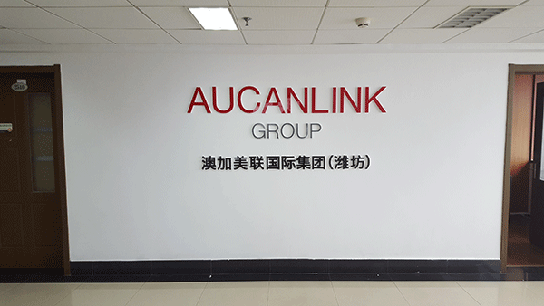 澳加美聯(lián)濰坊辦事處形象墻雕刻